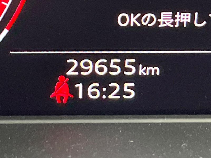 2021 Audi A4 3AA-8WDEM (UW-6a657c7be2db1)[2]