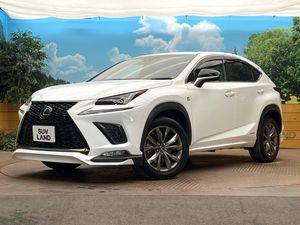 2019 Lexus NX DAA-AYZ10
