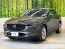 2019 Mazda CX-30 5BA-DMEP (UW-6a66cb313ea8a)[24]