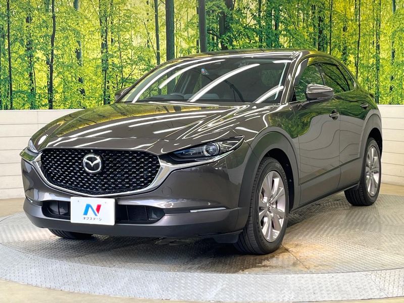 2019 Mazda CX-30 5BA-DMEP (UW-6a66cb313ea8a)[24]