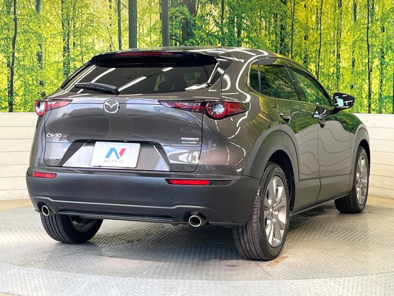 2019 Mazda CX-30 5BA-DMEP (UW-6a66cb313ea8a)[28]