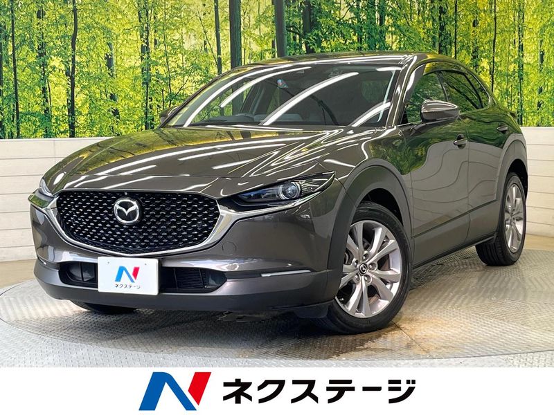 2019 Mazda CX-30 5BA-DMEP (UW-6a66cb313ea8a)[3]