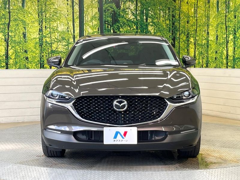 2019 Mazda CX-30 5BA-DMEP (UW-6a66cb313ea8a)[25]