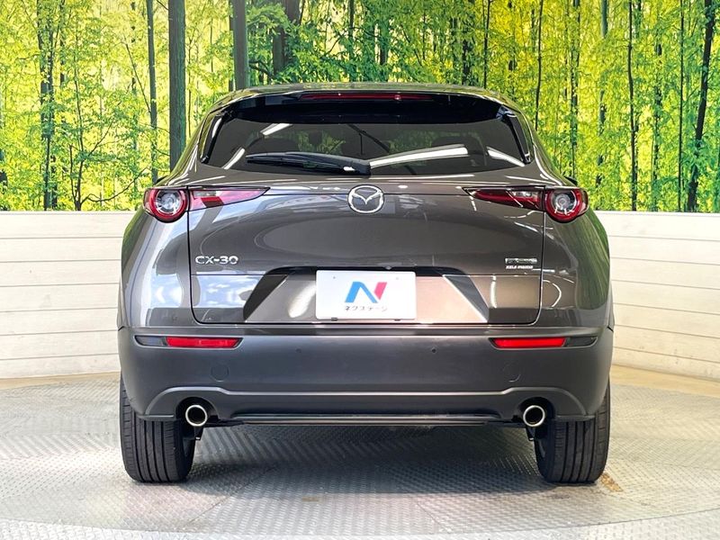 2019 Mazda CX-30 5BA-DMEP (UW-6a66cb313ea8a)[29]