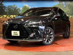 2023 Lexus NX 6AA-AAZH20