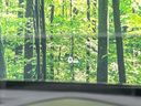 2021 Mazda Mazda2 5BA-DJLFS (UW-6a681cc2d0a6a)[26]
