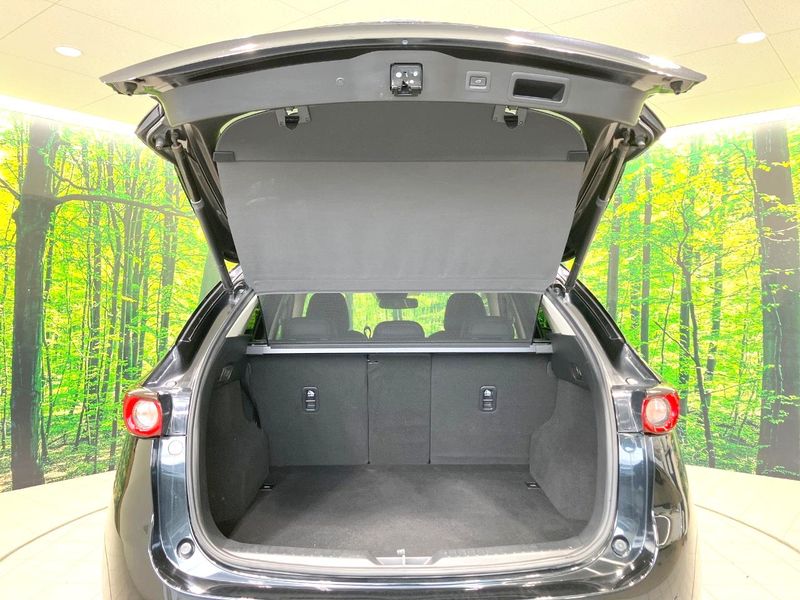 2017 Mazda CX-5 LDA-KF2P (UW-6a681dcb299b3)[12]