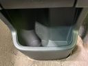 2012 Nissan Moco DBA-MG33S (UW-6a681e755f7d4)[20]