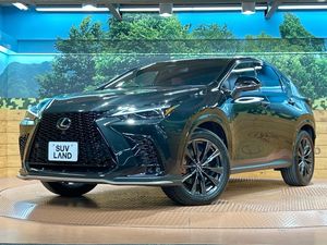 2023 Lexus NX 6AA-AAZH20