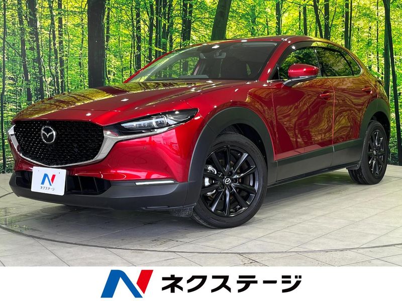 2023 Mazda CX-30 3DA-DM8P (UW-6a6abfb754e63)[3]