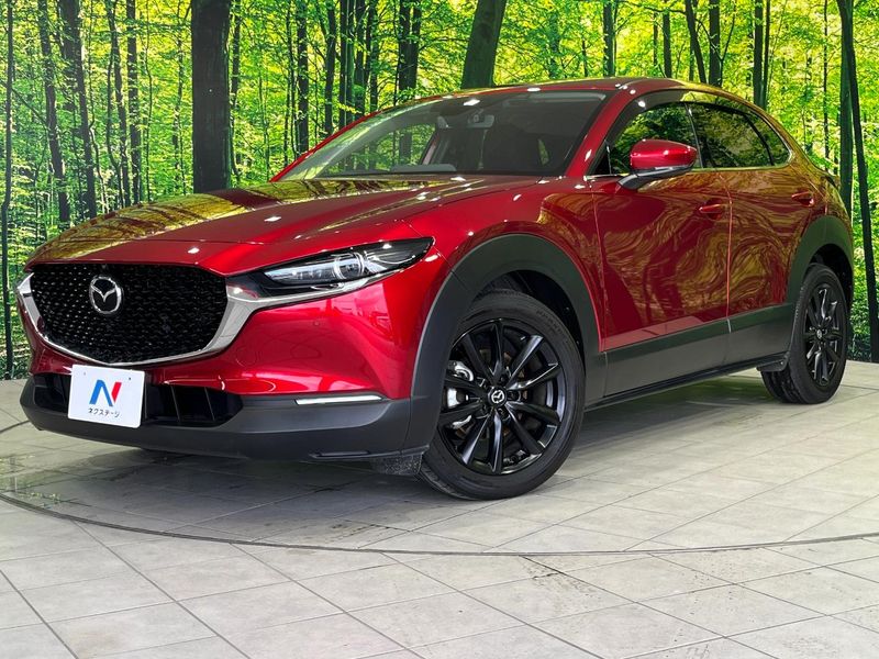 2023 Mazda CX-30 3DA-DM8P (UW-6a6abfb754e63)[0]