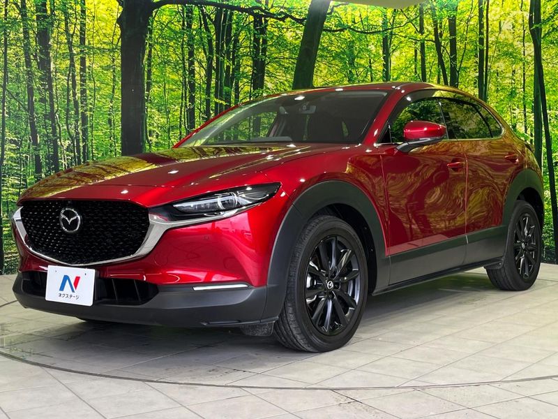 2023 Mazda CX-30 3DA-DM8P (UW-6a6abfb754e63)[23]