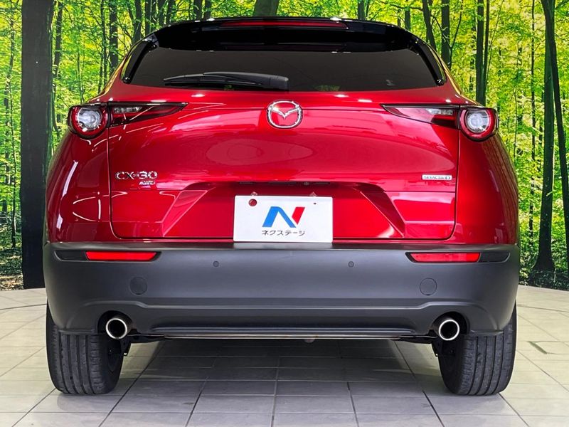 2023 Mazda CX-30 3DA-DM8P (UW-6a6abfb754e63)[27]