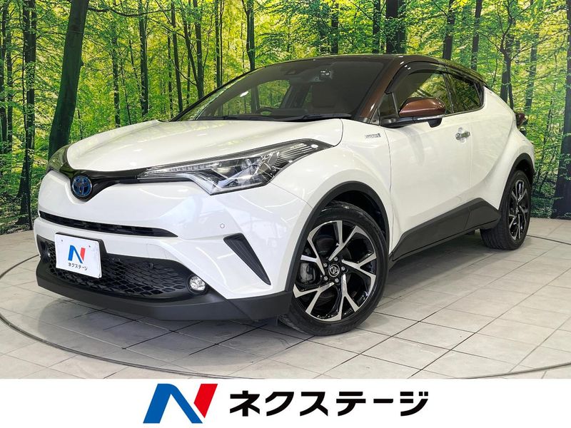2019 Toyota C-HR DAA-ZYX10 (UW-6a6ac31403df2)[3]