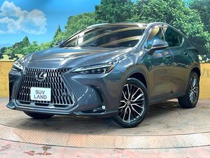 2023 Lexus NX 6AA-AAZH20