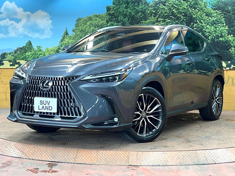 2023 Lexus NX 6AA-AAZH20 (UW-6a6c10b36f181)[0]