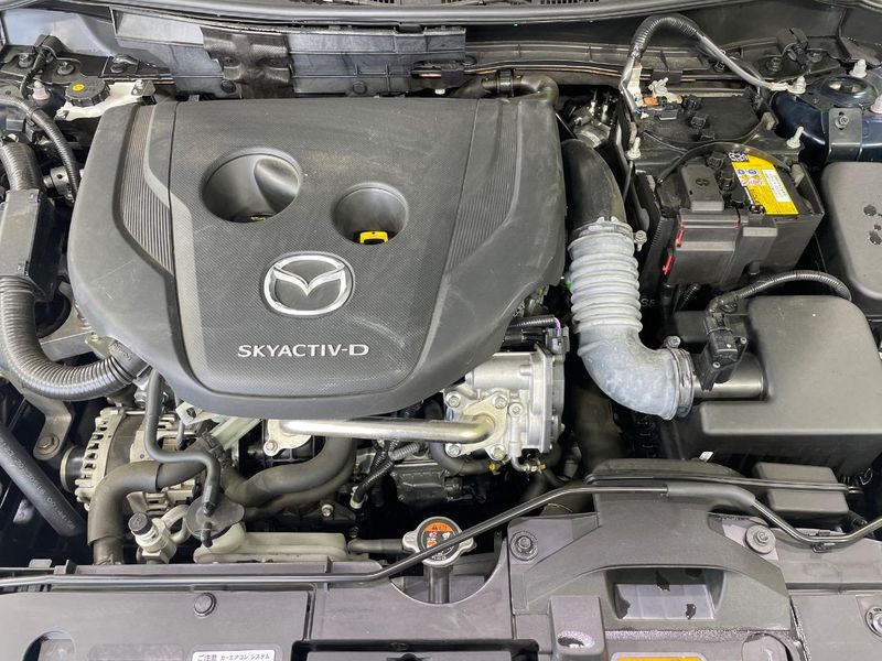 2023 Mazda Mazda2 3DA-DJ5AS (UW-6a6c11608671c)[4]