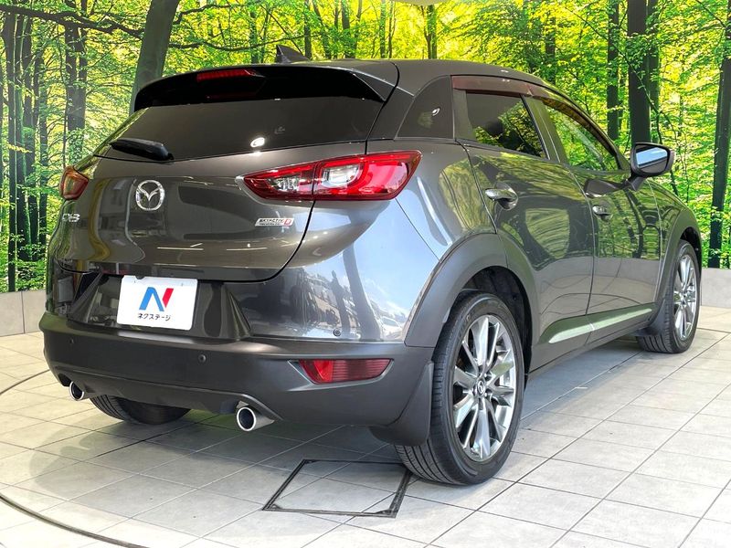 2017 Mazda CX-3 LDA-DK5FW (UW-6a6c1166b0d07)[20]