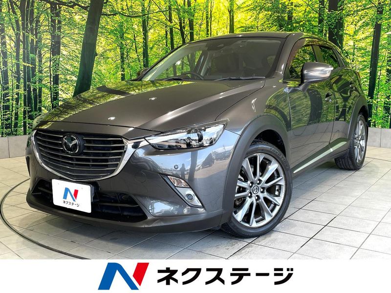 2017 Mazda CX-3 LDA-DK5FW (UW-6a6c1166b0d07)[3]