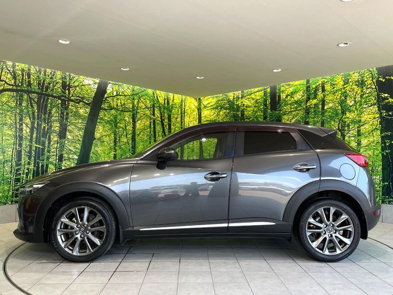 2017 Mazda CX-3 LDA-DK5FW (UW-6a6c1166b0d07)[8]