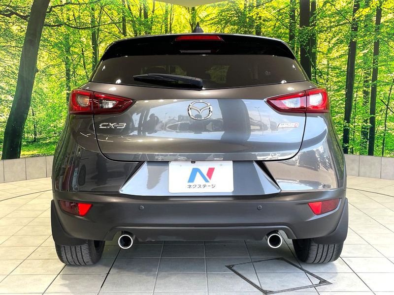 2017 Mazda CX-3 LDA-DK5FW (UW-6a6c1166b0d07)[19]