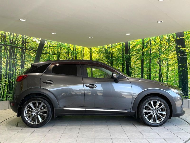 2017 Mazda CX-3 LDA-DK5FW (UW-6a6c1166b0d07)[21]