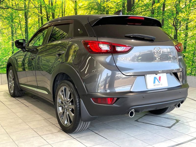 2017 Mazda CX-3 LDA-DK5FW (UW-6a6c1166b0d07)[9]