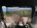 2022 Toyota Voxy 6BA-MZRA90W (UW-6a6c13b956332)[24]