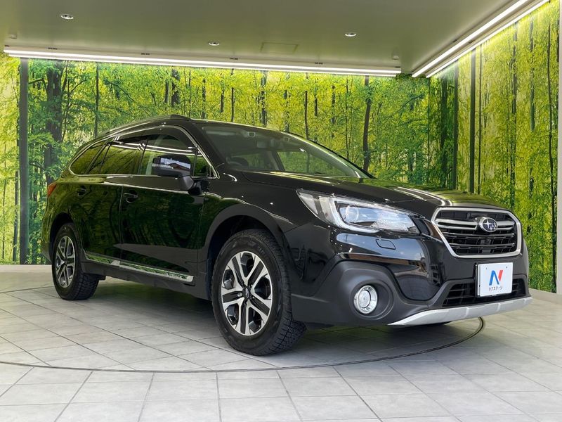 2018 Subaru Legacy Outback DBA-BS9 (UW-6a6d62c903172)[15]