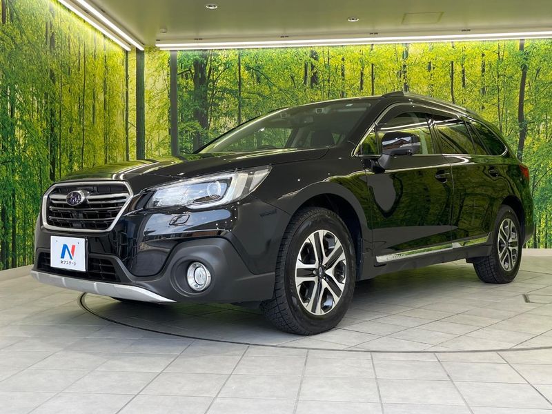 2018 Subaru Legacy Outback DBA-BS9 (UW-6a6d62c903172)[13]