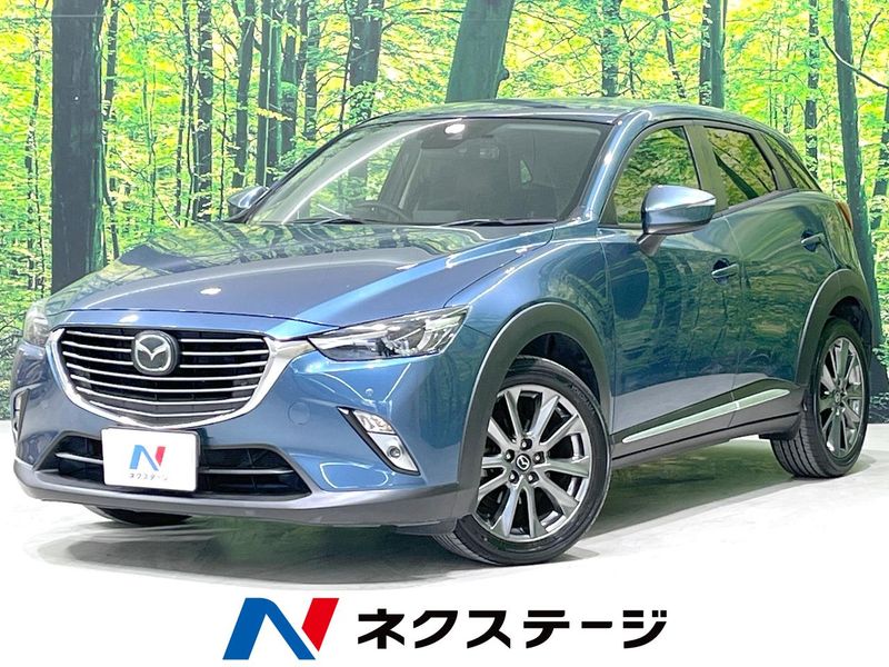 2017 Mazda CX-3 LDA-DK5FW (UW-6a6d62e6a6860)[3]
