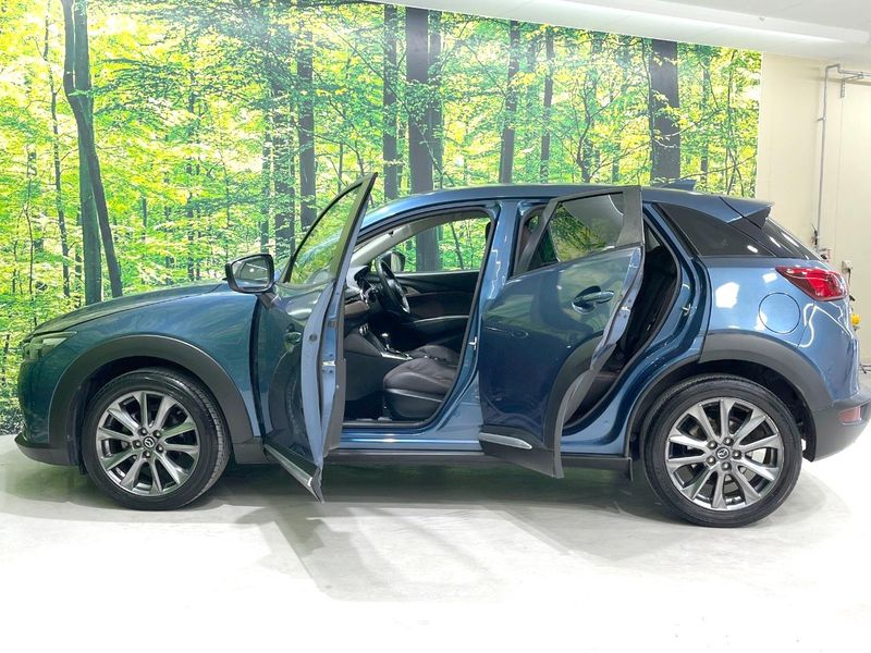 2017 Mazda CX-3 LDA-DK5FW (UW-6a6d62e6a6860)[8]