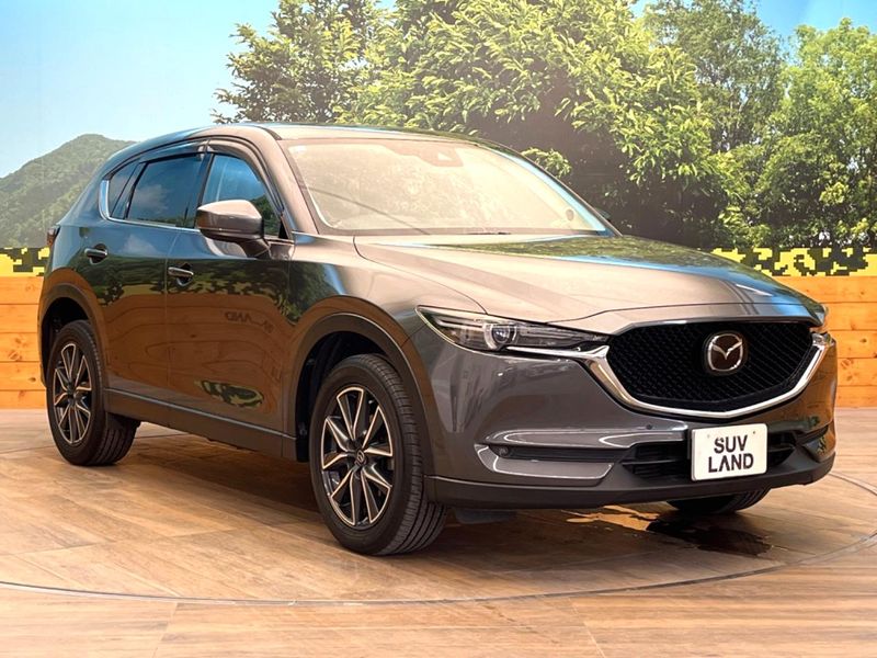2017 Mazda CX-5 LDA-KF2P (UW-6a6d63ed00715)[10]