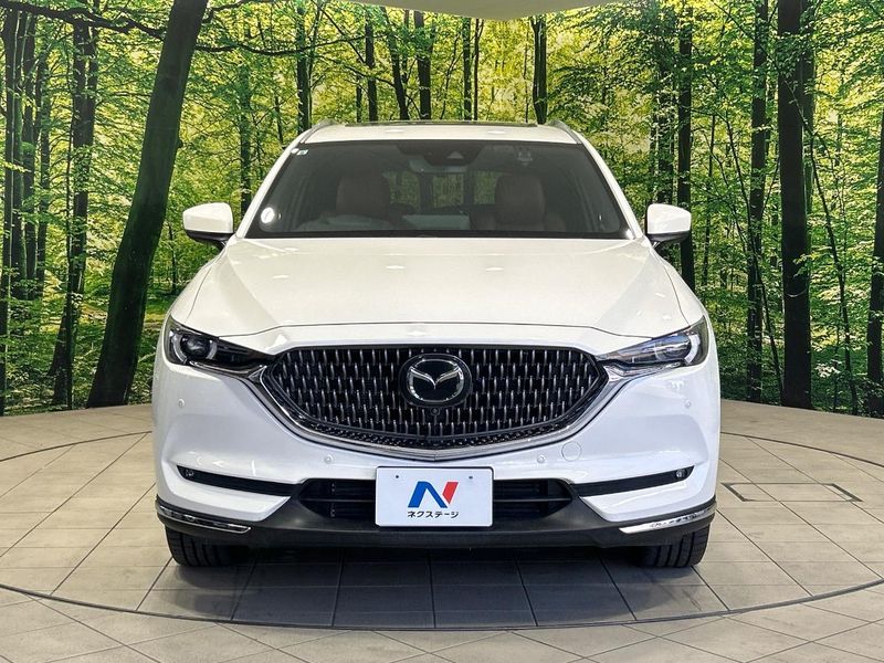 2021 Mazda CX-8 3da-kg2p (UW-6a6d6400d44a6)[18]
