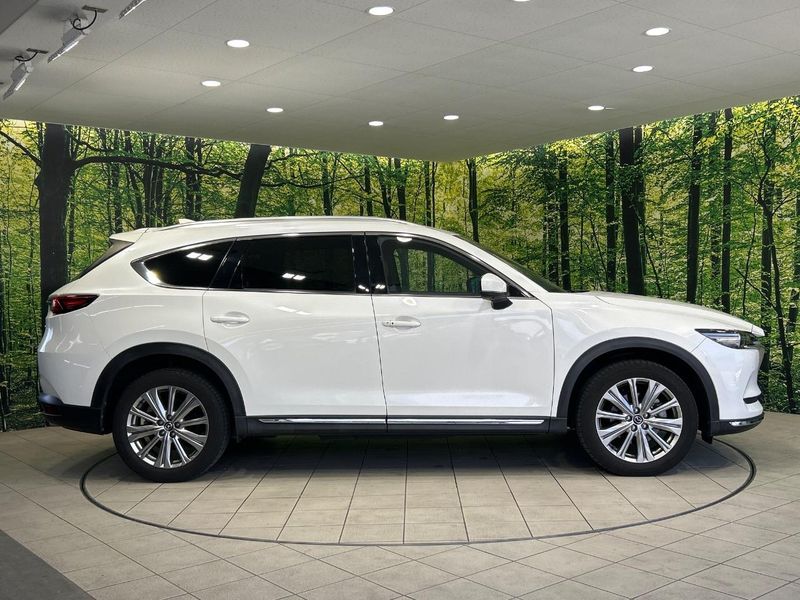 2021 Mazda CX-8 3da-kg2p (UW-6a6d6400d44a6)[20]