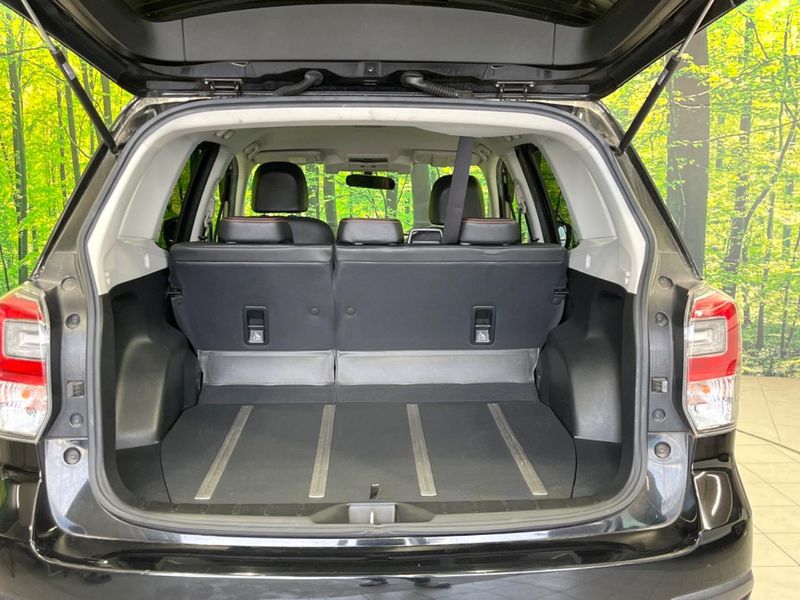 2017 Subaru Forester DBA-SJ5 (UW-6a6d65a12dda0)[18]