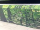 2023 Toyota Corolla Touring 6AA-ZWE219W (UW-6a6d6648b0207)[6]