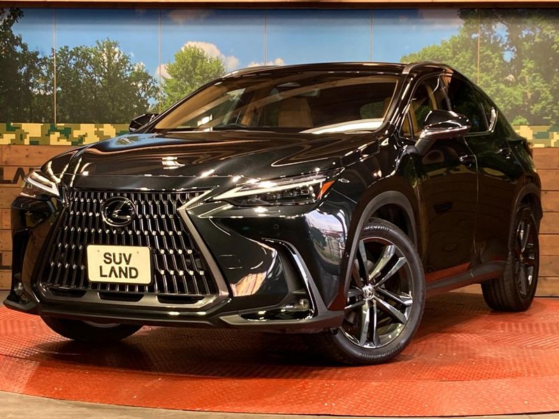 2023 Lexus NX 6AA-AAZH20 (UW-6a6eb39dcdceb)[0]