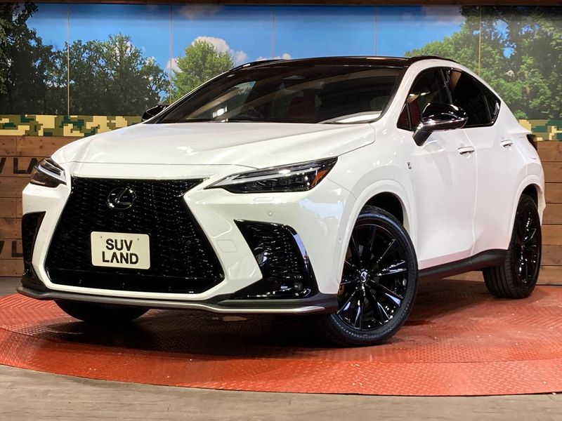 2025 Lexus NX 6AA-AAZH20 (UW-6a6eb39f57d42)[0]