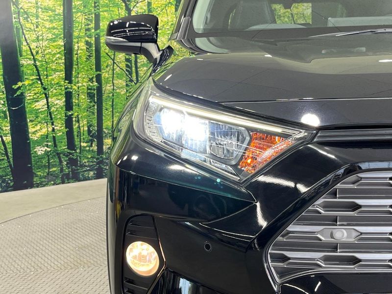 2019 Toyota RAV4 6BA-MXAA54 (UW-6a6eb64100b00)[17]