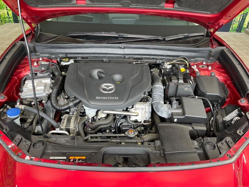 2020 Mazda CX-30 3DA-DM8P (UW-6a7005c70cd28)[4]