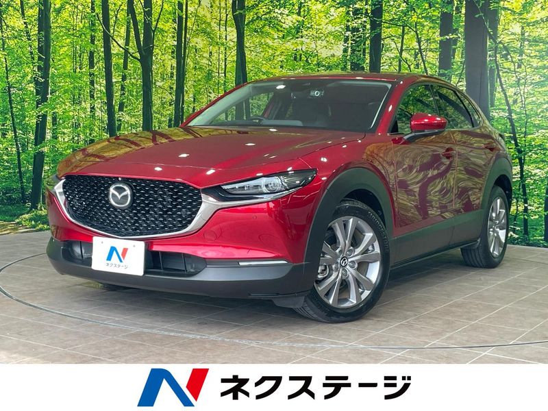 2020 Mazda CX-30 3DA-DM8P (UW-6a7005c70cd28)[3]