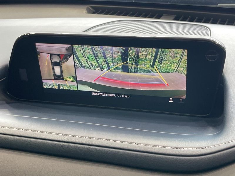 2020 Mazda CX-30 3DA-DM8P (UW-6a7005c70cd28)[13]