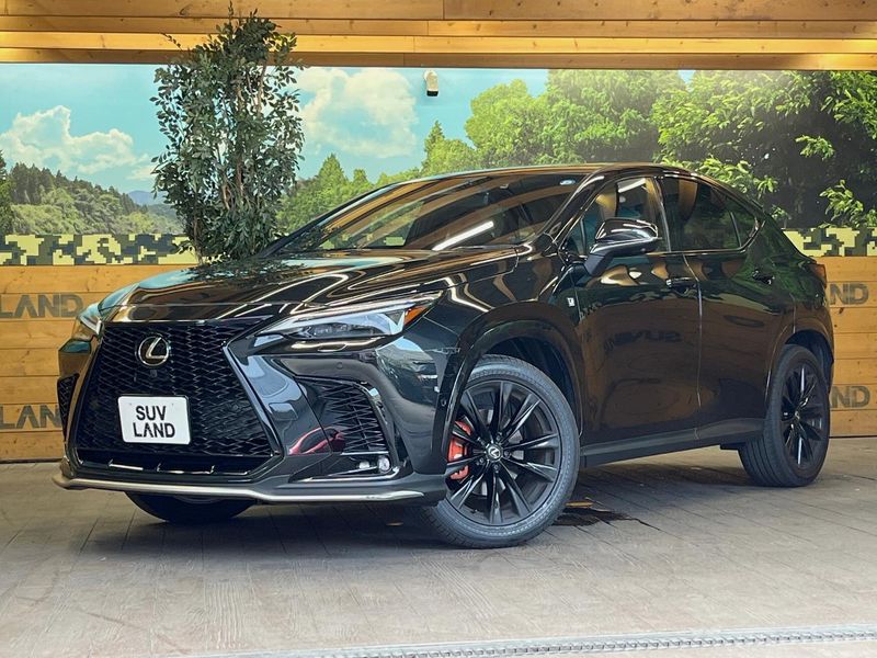 2025 Lexus NX 6AA-AAZH20 (UW-6a715692e13cc)[0]