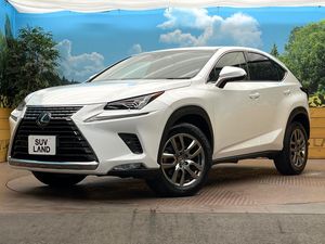 2018 Lexus NX DBA-AGZ10