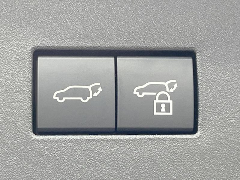 2024 Toyota Land Cruiser 250 3DA-GDJ250W (UW-6a7157766f5b8)[11]