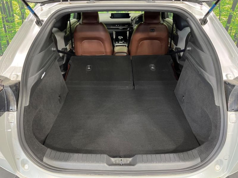 2021 Mazda MX-30 5AA-DREJ3P (UW-6a72a8cbc6f51)[8]