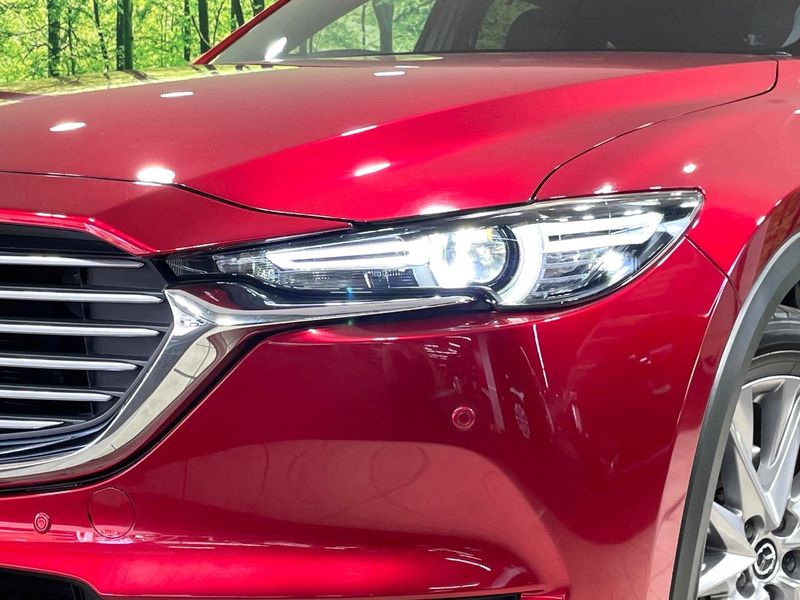 2019 Mazda CX-8 3da-kg2p (UW-6a72a9d6274a8)[10]