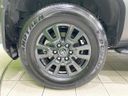 2025 Toyota Land Cruiser 250 3BA-TRJ250W (UW-6a72ab95a088f)[14]
