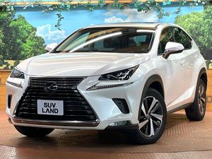 2018 Lexus NX DBA-AGZ10